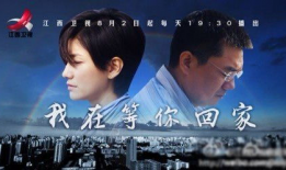 回家 电视剧,温情岁月里的亲情纠葛与成长历程