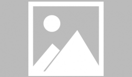 红高粱电视剧多少集,跨越时代的爱情传奇，浓缩于XX集的激情岁月