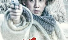 林海雪原电视剧多少集,跨越雪原的传奇，共XX集精彩呈现